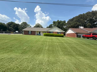 David G.'s lawn maintenance service result