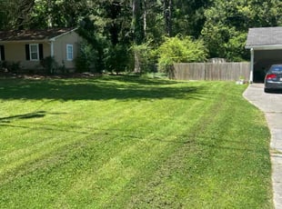 Jeffery M.'s turf care service result