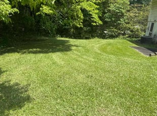 Jason B.'s grass maintenance service result