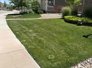 Thaddeaus S.'s grass cutting service result