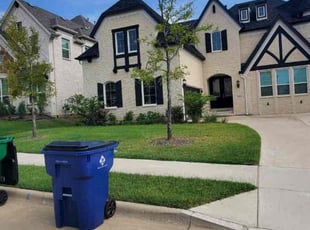 Suzanne S.'s grass cutting service result