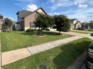 Tianna A.'s grass cutting service result