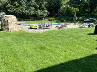 Ed K.'s grass cutting service result