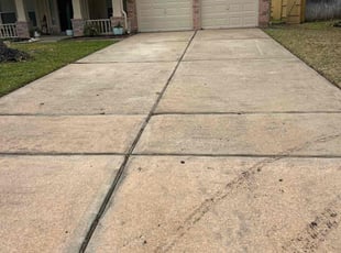 Lee M.'s grass cutting service result