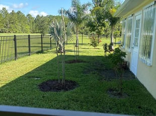 Victoria J.'s lawn maintenance service result