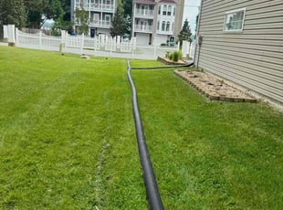 Danielle M.'s lawn maintenance service result