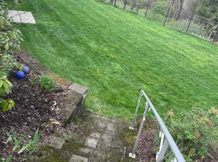 D&#039;Arcy L.'s turf care service result