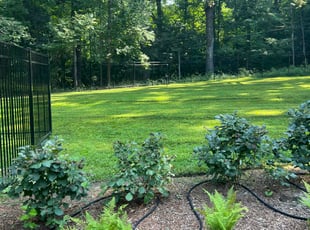 Sam J.'s lawn care service result