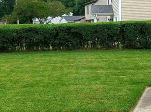Meghan M.'s grass cutting service result
