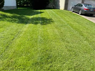 Sean R.'s lawn care services service result