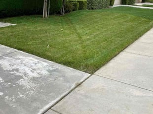 Timothy S.'s lawn maintenance service result