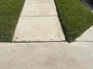 Derek A.'s grass cutting service result
