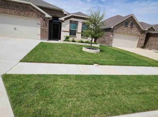 Monica O.'s lawn care service result