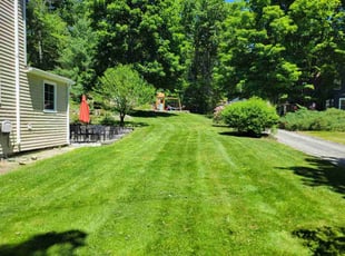 Jim C.'s grass cutting service result
