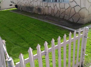 Steve H.'s lawn care service result