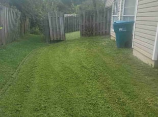 Frances P.'s turf maintenance service result