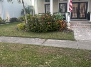 Yancy P.'s lawn service service result