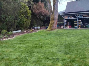 Vishnu V.'s lawn service service result