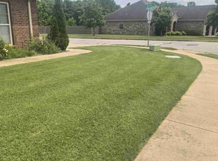 Ashley G.'s grass maintenance service result