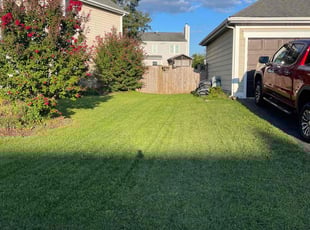 Beth C.'s turf maintenance service result
