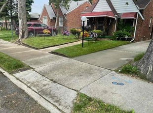 William R.'s lawn service service result