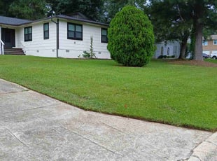 Katy G.'s lawn care services service result