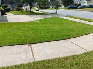 Alexis A.'s lawn care service result