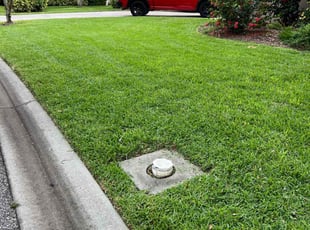 Cari S.'s lawn care service result