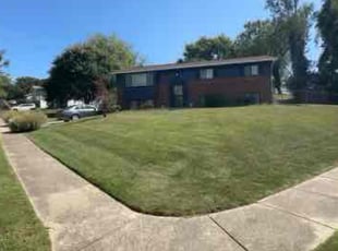 Debbie M.'s grass cutting service result