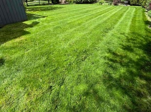 Sharon R.'s turf maintenance service result