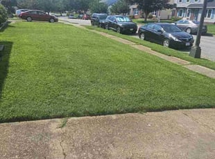 Alvin C.'s grass maintenance service result