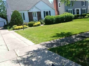 George G.'s grass cutting service result