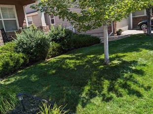 Holly M.'s lawn service service result