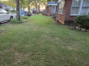 Joy M.'s lawn maintenance service result