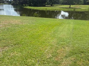 Bryce M.'s lawn service service result