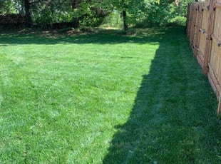 Evan P.'s lawn service service result