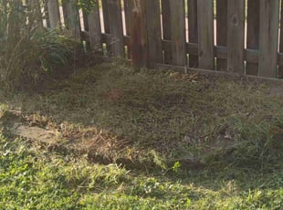 Aedin A.'s Flower Bed Weeding service result