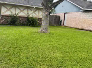 Ernest C.'s turf care service result