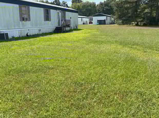 Shelley B.'s turf maintenance service result