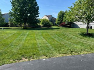 Peggy K.'s lawn service service result