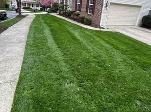 Harlan B.'s grass cutting service result