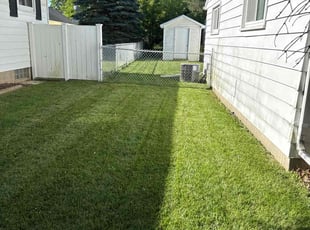 Brenda M.'s lawn care service result