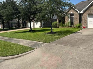 Hasan K.'s turf maintenance service result