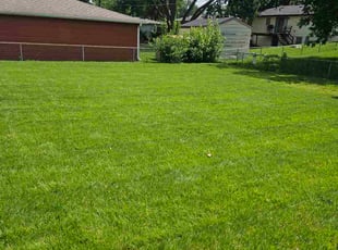 Aswin N.'s yard service service result
