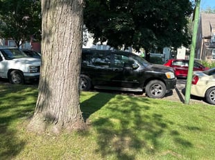 Jonathan G.'s Leaf Removal service result