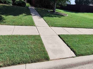 Quentin H.'s lawn maintenance service result