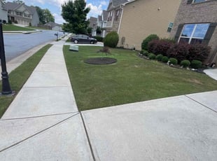 Brian P.'s turf maintenance service result