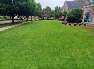 Nicol T.'s turf care service result