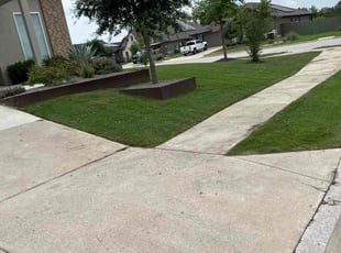 Dorena B.'s turf maintenance service result