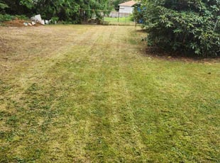 Chandrakala T.'s lawn care service result